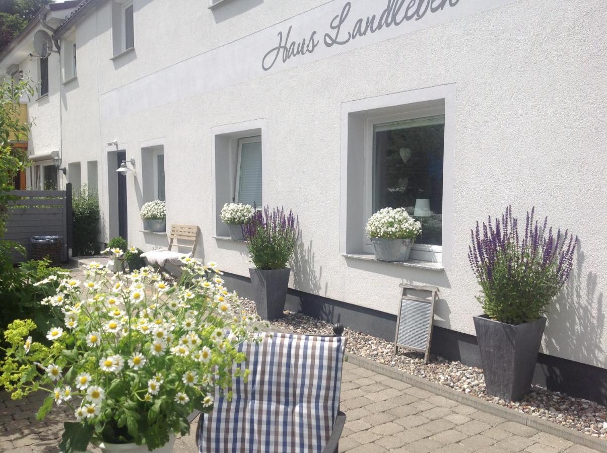 Kleine Landliebe Lägenhet Hohwacht Exteriör bild